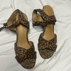 14th and union Cheetah wedge